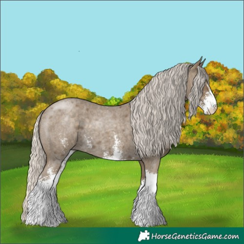 Horse Color:Silver Smoky Blue Roan Sabino 