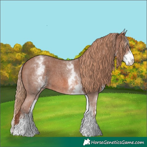 Horse Color:White Spotted Chestnut Sabino 