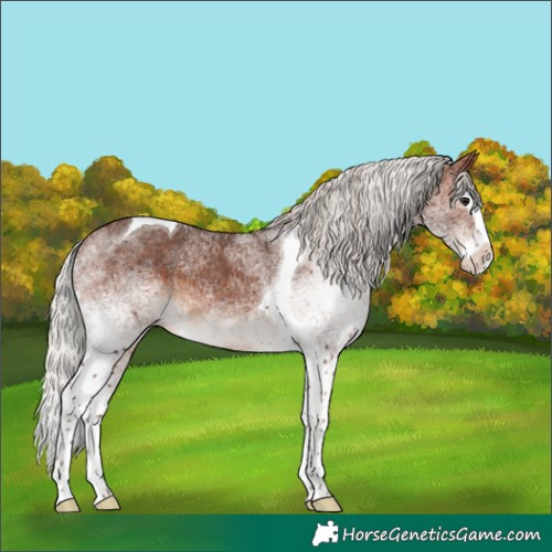 Horse Color:White Spotted Silver Brown Splash Tobiano