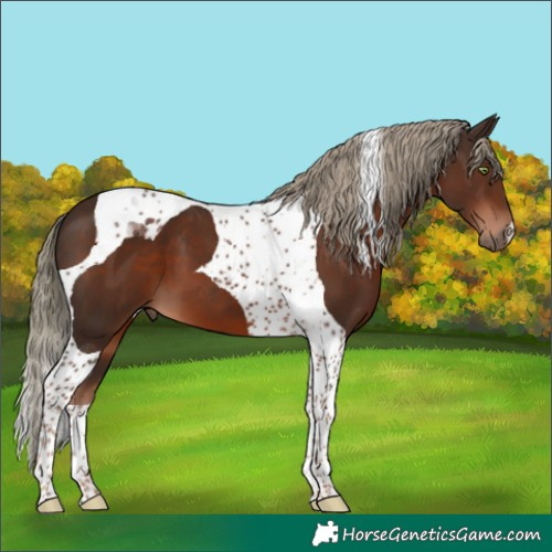 Horse Color:Liver Chestnut Mushroom Tobiano 