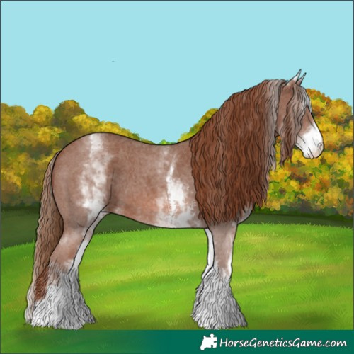 Horse Color:White Spotted Chestnut Sabino 
