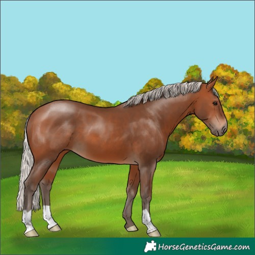 Horse Color:Silver Brown 