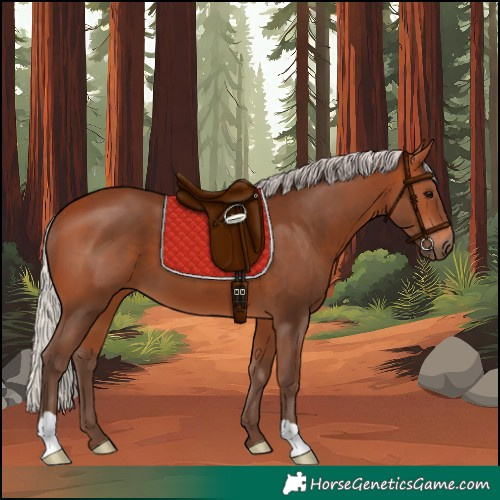 Horse Color:Silver Bay