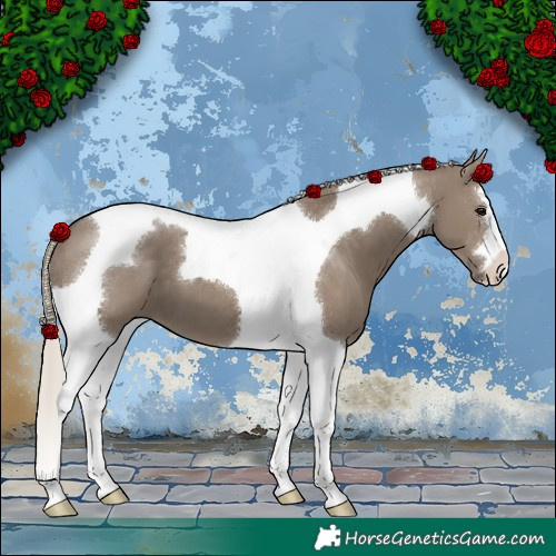 Horse Color:Silver Grullo Tobiano 