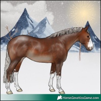 Horse Color:Silver Brown 