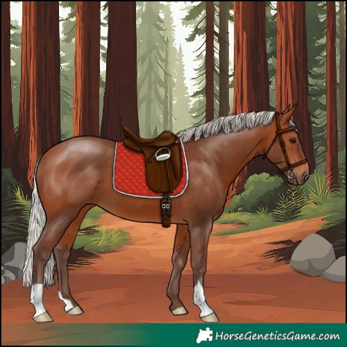 Horse Color:Silver Brown