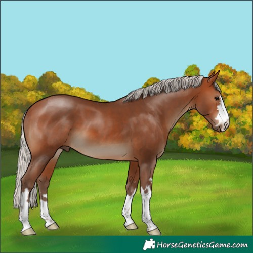 Horse Color:Silver Brown