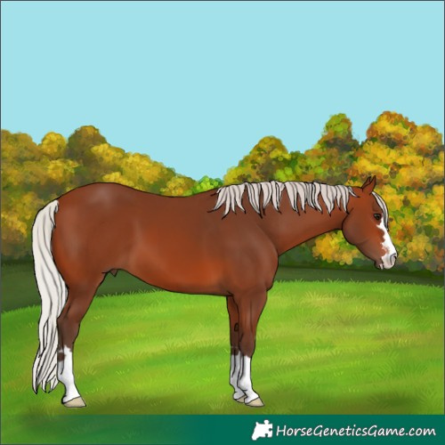 Horse Color:Silver Brown 