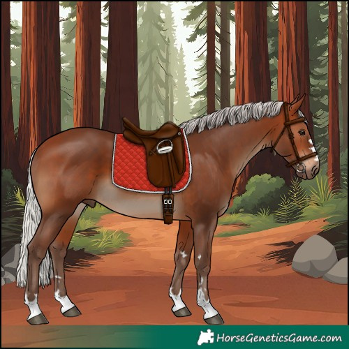 Horse Color:Silver Brown 