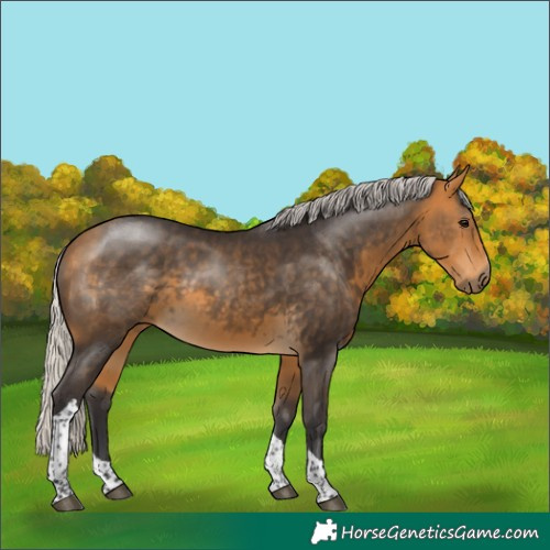 Horse Color:Silver Buckskin Tobiano 