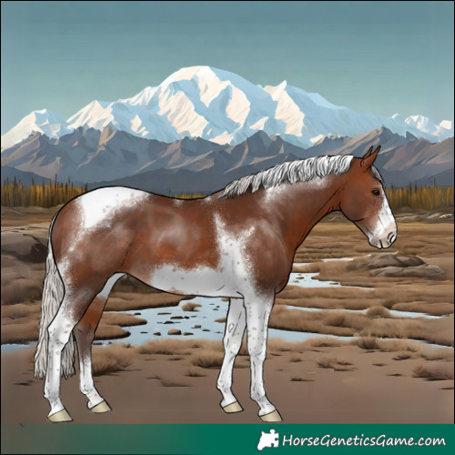 Horse Color:Silver Bay Tobiano Frame 