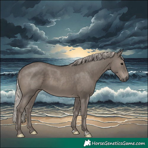 Horse Color:Silver Black 