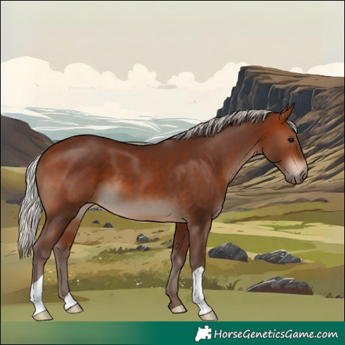 Horse Color:Silver Bay 