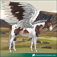 Horse Color:Silver Brown Tobiano