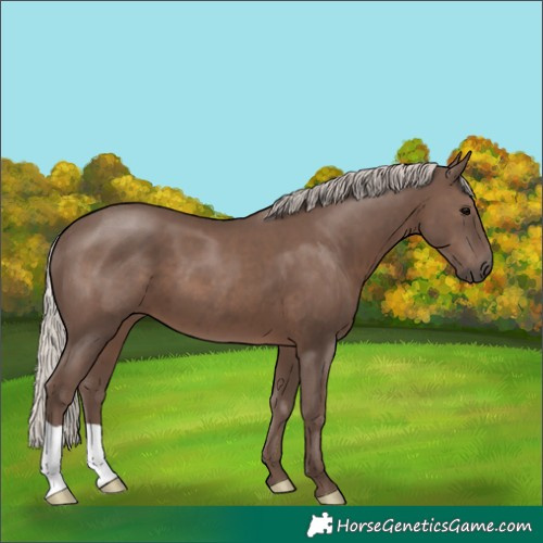 Horse Color:Silver Black 