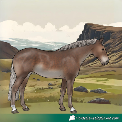 Horse Color:Silver Black 