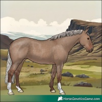 Horse Color:Silver Grullo 