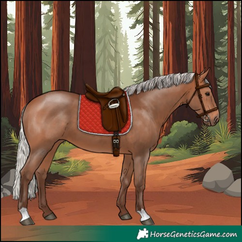 Horse Color:Silver Bay