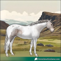 Horse Color:Silver Brown Roan Tobiano