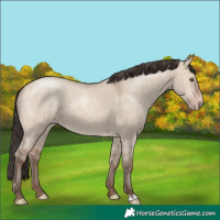 Horse Color:Sable Champagne Dun Brindle 
