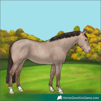 Horse Color:Sable Champagne Dun Brindle 