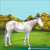 Horse Color:White Spotted Amber Champagne Dun Splash Rabicano Brindle
