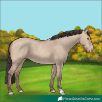 Horse Color:Amber Champagne Dun Brindle 