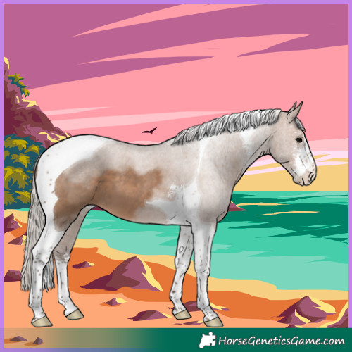 Horse Color:Silver Brown Dun Sabino Tobiano 