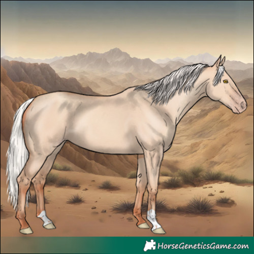 Horse Color:Silver Classic Champagne Dun 