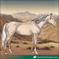 Horse Color:Silver Classic Champagne Dun 
