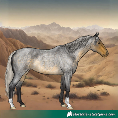 Horse Color:Silver Buckskin Roan 