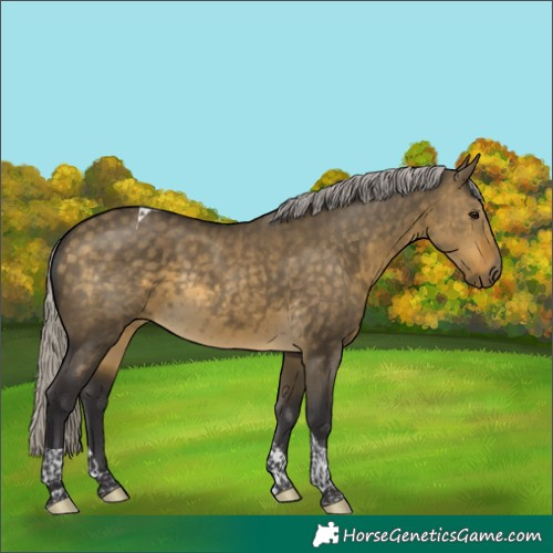 Horse Color:Silver Buckskin Dun Tobiano Rabicano 