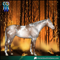 Horse Color:Gray White Spotted Silver Sable Champagne 