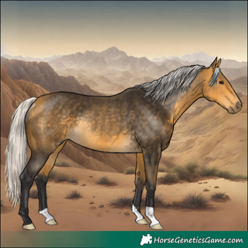 Horse Color:Silver Buckskin Rabicano 