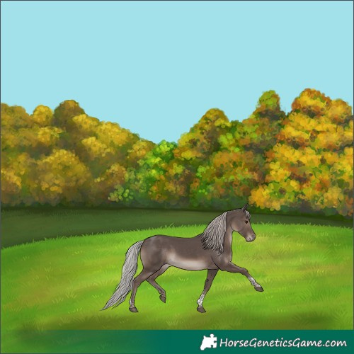 Horse Color:Silver Black Mushroom Tobiano 