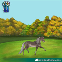 Horse Color:Silver Black Mushroom Tobiano
