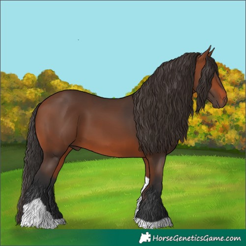 Horse Color:Bay Tobiano 