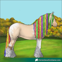 Horse Color:Painted Red Dun Tobiano 