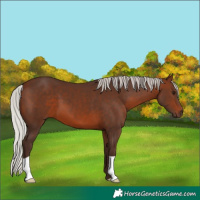 Horse Color:Silver Brown 