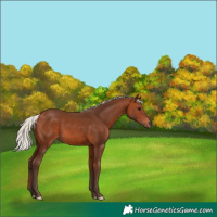 Horse Color:Silver Brown
