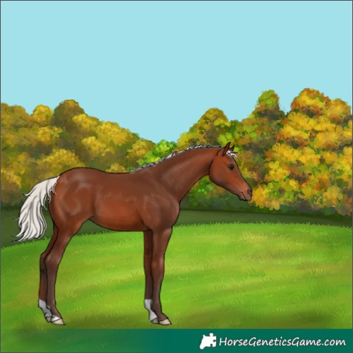 Horse Color:Silver Brown 
