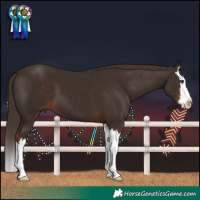 Horse Color:White Spotted Liver Chestnut Splash