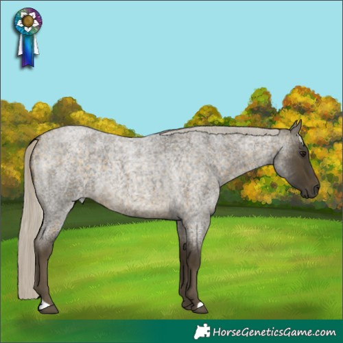 Horse Color:Silver Buckskin Roan 