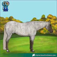 Horse Color:Silver Buckskin Roan 