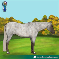 Horse Color:Silver Buckskin Roan 
