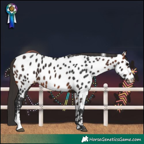 Horse Color:Bay Sabino Near Leopard 