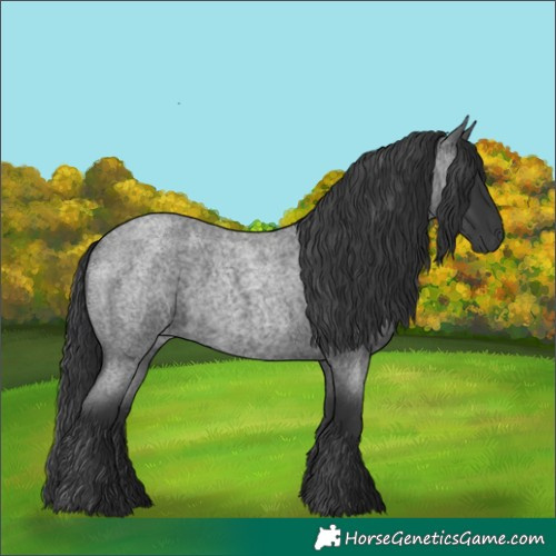 Horse Color:Blue Roan 