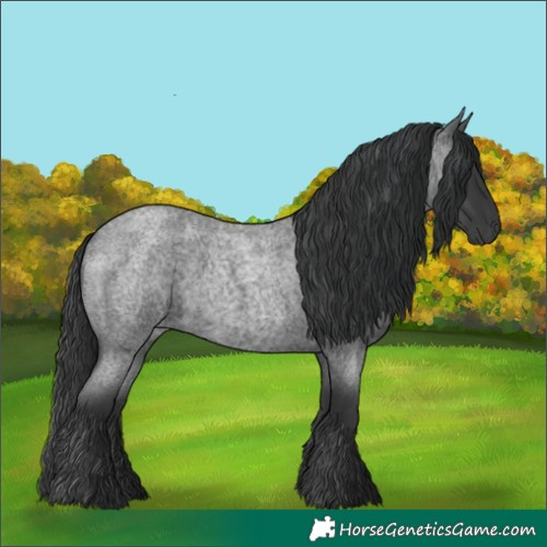 Horse Color:Blue Roan 