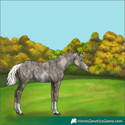 Horse Color:Silver Smoky Grullo Ice Pearl Tobiano 