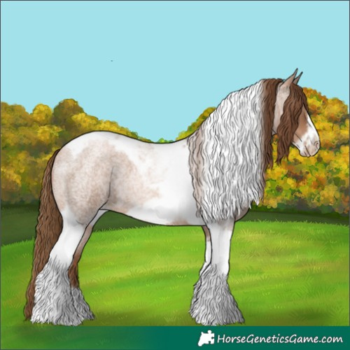 Horse Color:Liver Red Roan Pearl Tobiano Frame